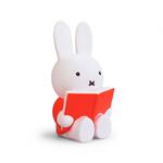 Hucha grande Miffy libro | API014