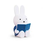 Hucha grande Miffy libro | API015