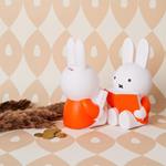 Hucha grande Miffy libro | API014